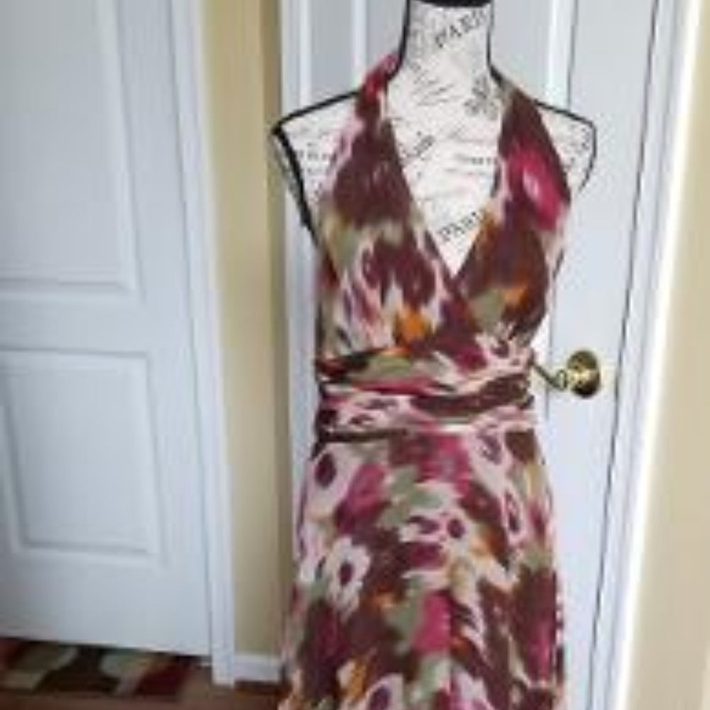 Suzi Chin Dress